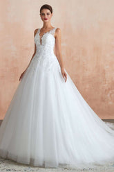 Glamorous Lace A-Line V-Neck Wedding Dress with Sheer Back